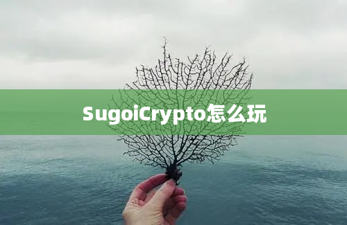 SugoiCrypto怎么玩